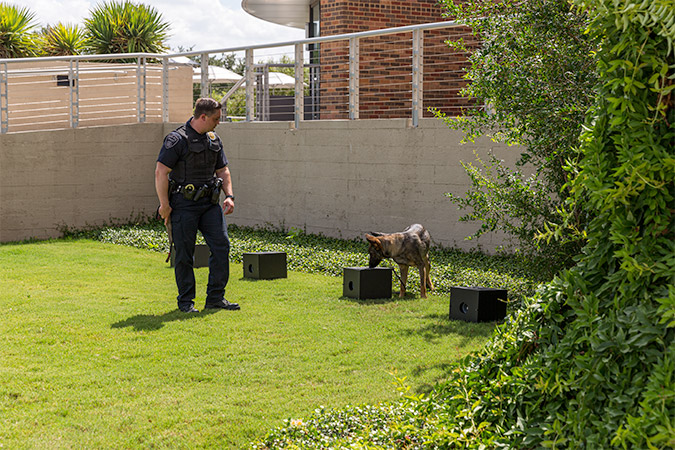 K-9 Valet demonstrates how to find an explosive odor. When the odor is found, she will lie down and await further instruction.